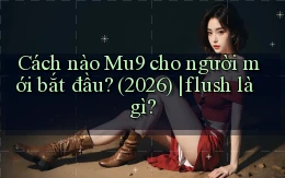 Cách nào Mu9 cho người mới bắt đầu (2026) flush là gì