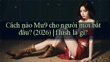 Cách nào Mu9 cho người mới bắt đầu (2026) flush là gì