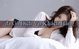 đá gà Dịch vụ khách hàng