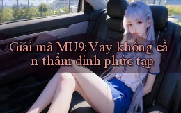 giải mã mu9 vay không cần thẩm định phức tạp