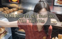 mu9 bảo trì đến bao giờ như thế nào