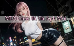 mu9  cược đá gà apk mới