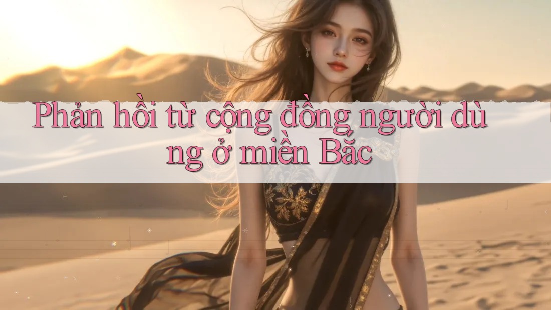 Phản hồi từ cộng đồng người dùng ở miền Bắc Phản hồi từ cộng đồng người dùng ở miền Bắc